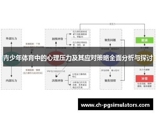 青少年体育中的心理压力及其应对策略全面分析与探讨