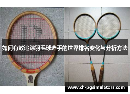 如何有效追踪羽毛球选手的世界排名变化与分析方法